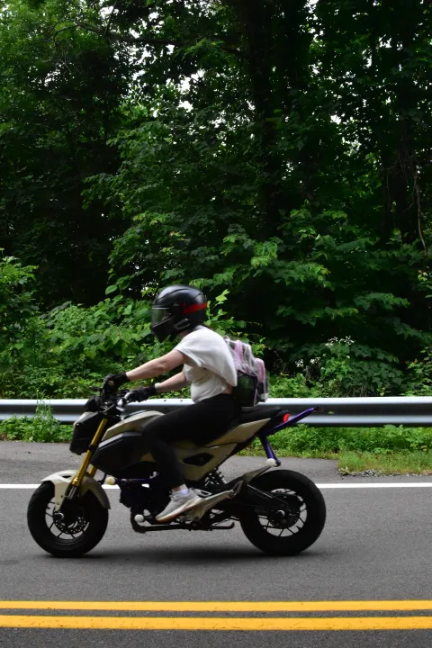 Tail of the Dragon